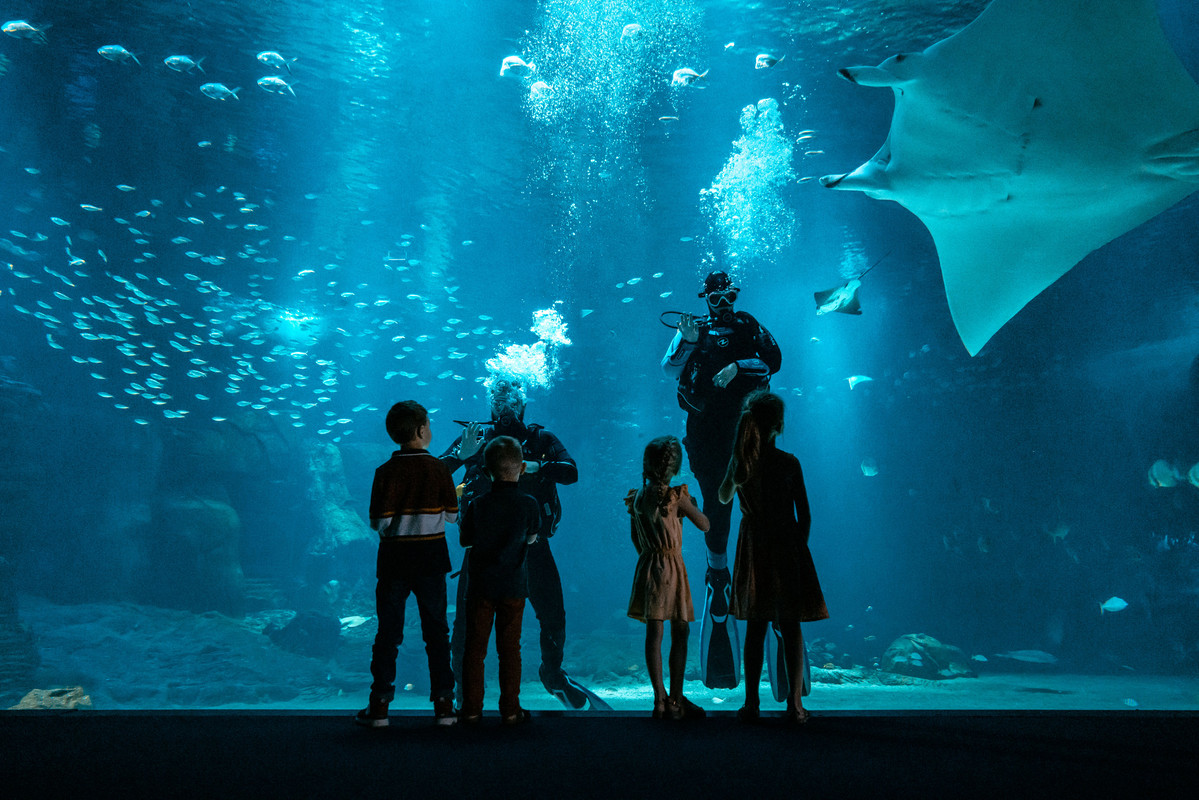 Grande baie et public-H-Lamblin-Iconocom (63)