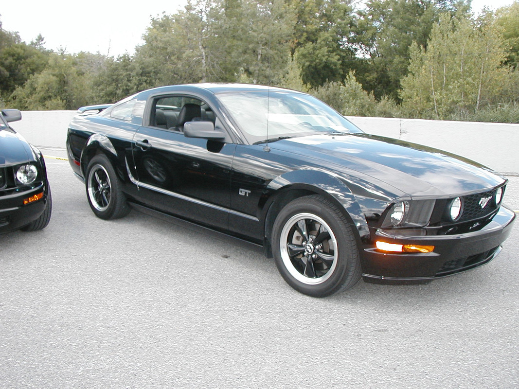 Montréal Mustang: 40 ans et + d’activités! (Photos-Vidéos,etc...) - Page 20 P8120091