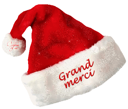 [Image: MERCI-noel.gif]