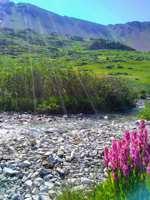 37120485_10214494596873201_3926972616883044352_o