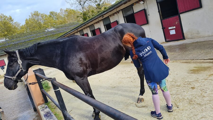 396500228_18000737753180046_5239773063041217351_n