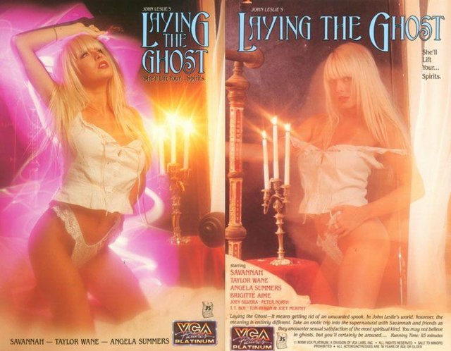 Laying The Ghost / Под видом призрака  Savannah, Taylor Wane, Angela Summers, Brigitte Aime  Приготовьтесь к эротическому путешествию в сверхестественное...