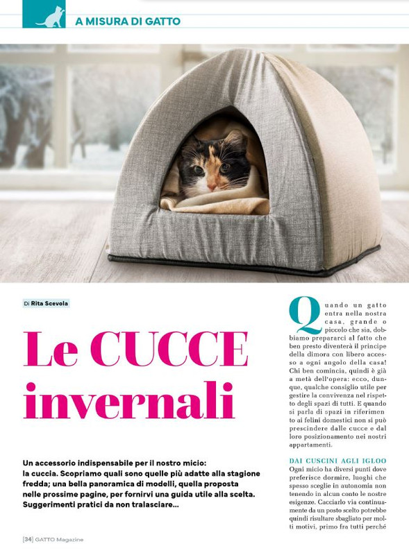 Ga Ma Feb-Mar 2024 (5)