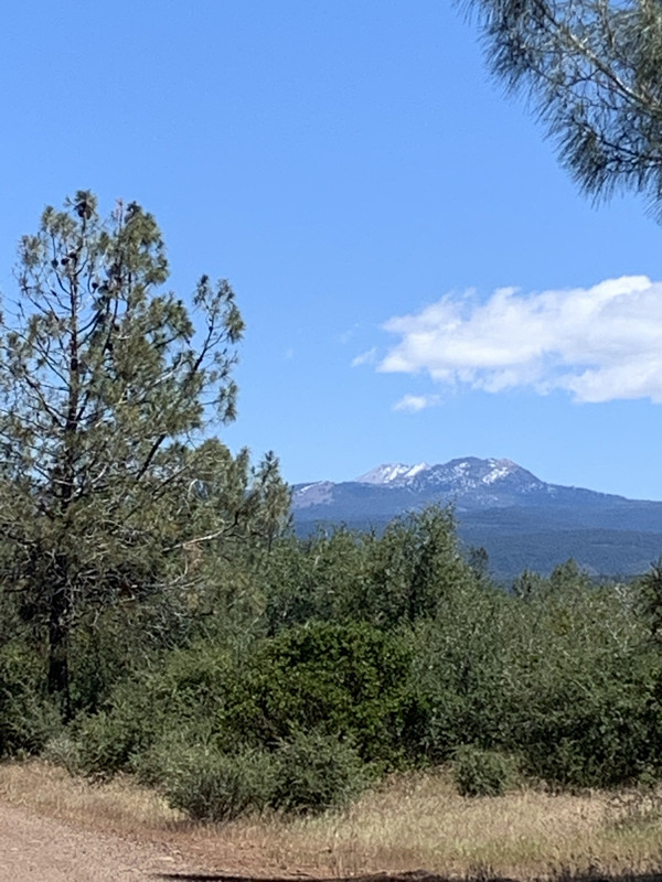 1C49BA5C-AB64-44C0-8DDD-726F75CB36C3