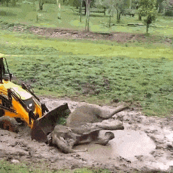 GIFs-18