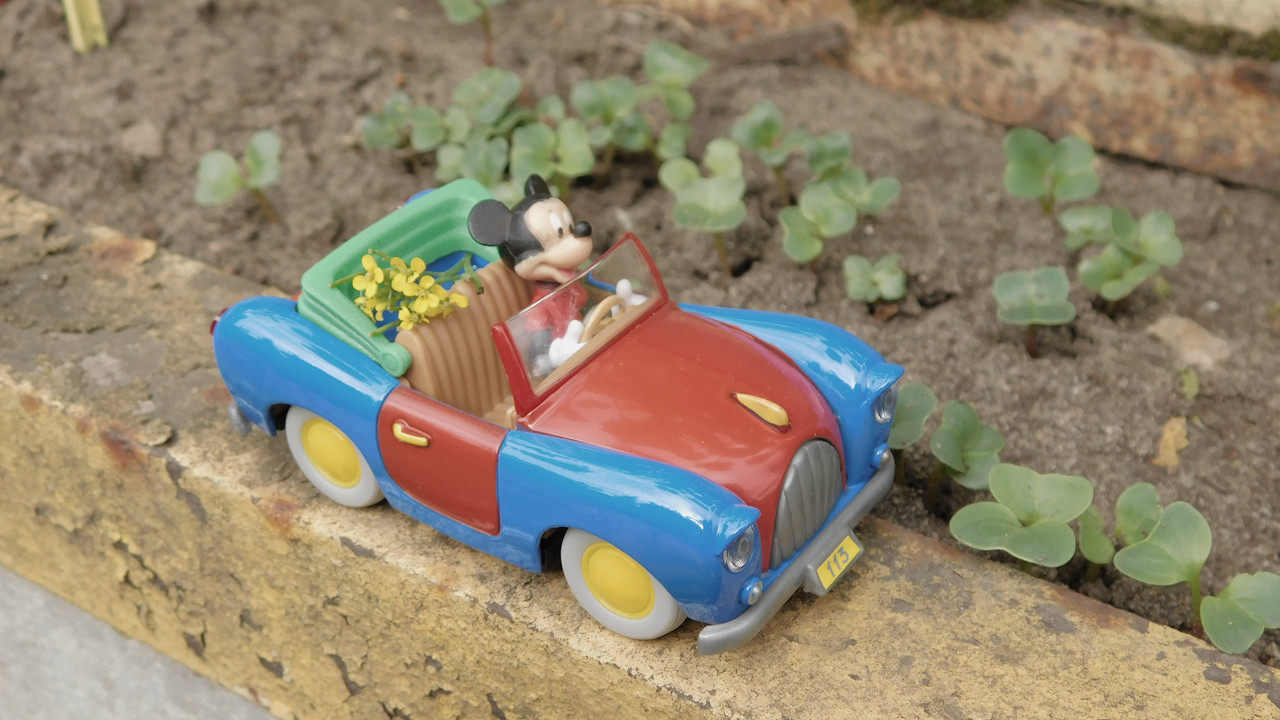 Дачное июль кудряшка , маус-машина и природа 026