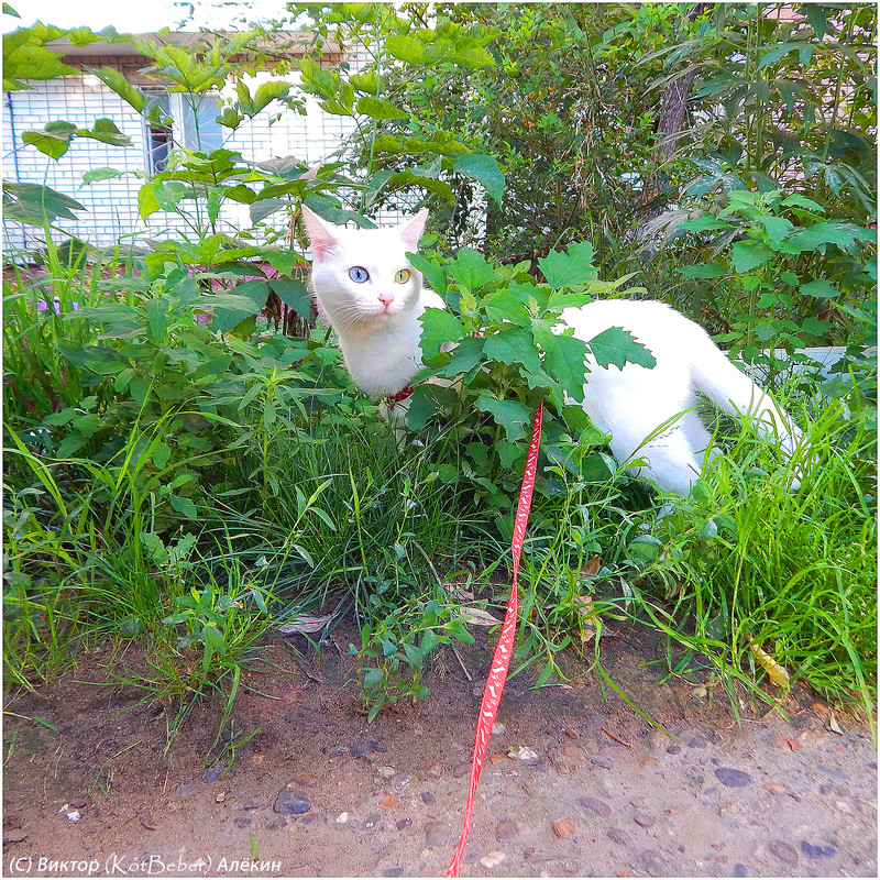 Изображение 016-2