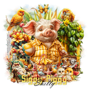 _AIADsiggy_Shelly-vi