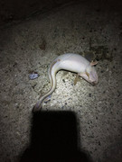 29FA655B-EE76-4C0D-865A-B640536F8EB4