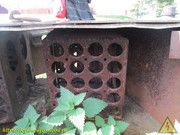 IMG-3545