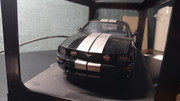 IMG-20230217-131008.jpg