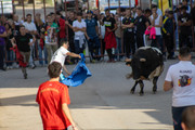 IMG-0101