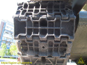 IMG-5601