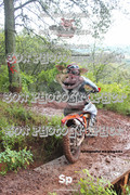 IMG-0339