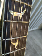 IMG_20190107_1359122