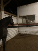 4370293E-B882-40AE-92E3-8D23340AF41D