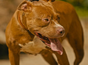 Screenshot_20230710_170306_Gallery