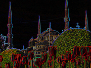 Istanbul-Tulips.png