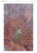 2890426-crosti-ru-color-13