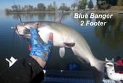[Image: 2-FOOTER.jpg]
