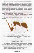Volshebnii-Cruchok-104
