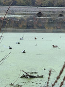 [Image: IMG-4275.jpg]