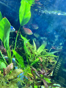 viber_изображение_2023-11-02_20-32-18-702