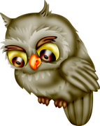 Christmas-in-Forest37