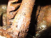 IMG-6428.jpg