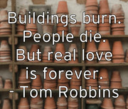 buildings-burn-people-die-but-real-love-is-forever-tom-robbins