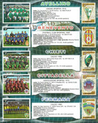 Album-Calciatori-2004-2005-Panini-116