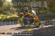 IMG-0499