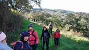 IMG-20260117-110556