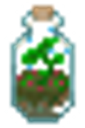 jar_plant