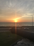 IMG-8919