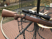 9115EFE9-8FDA-4D06-A1B0-79E908DC20B9