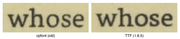2-whose