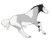 1289012-E-6-E0-C-4047-835-B-DC60-B3438-B56 (1)