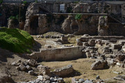 DSC-0004