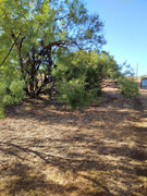 IMG_20220801_0928213