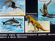 https://i.postimg.cc/hJyw9n8W/1503986843-18.jpg