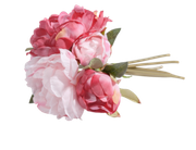 Sweet-Love-MM-Element-87