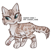 spotted snow bengal