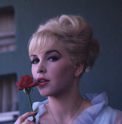 Stella-Stevens-c06