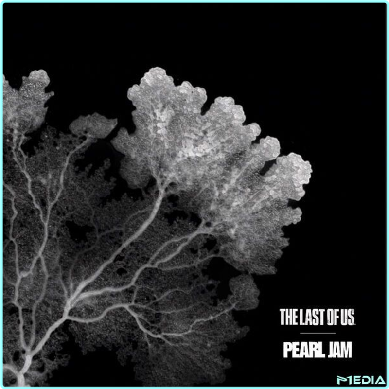 [Image: wvjtph8e862r.png]