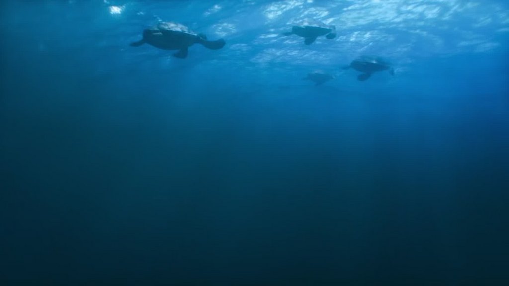 [Image: 9h15lpbe3hhy.jpg]