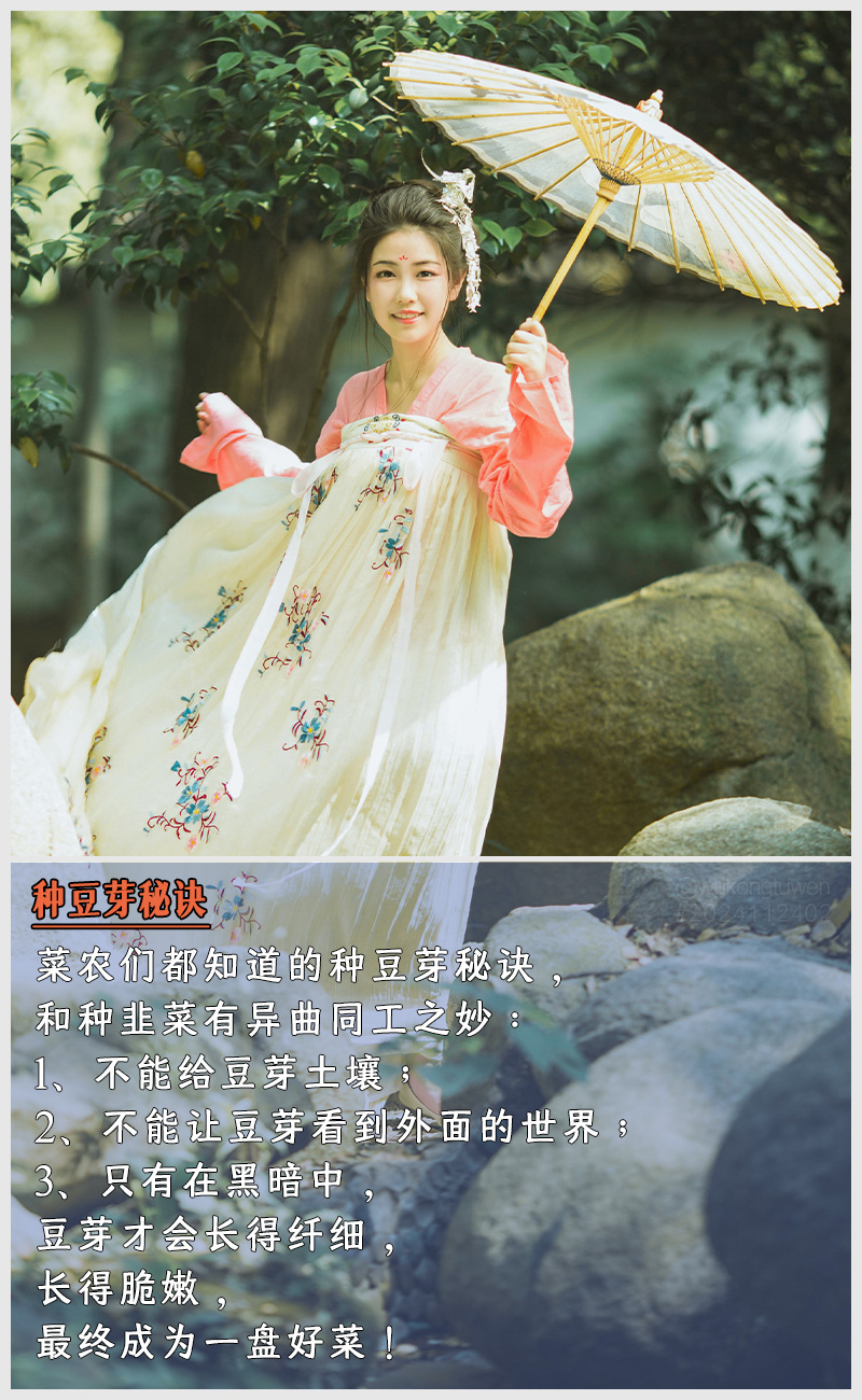 https://i.postimg.cc/hK3zN2MS/2024112402.jpg