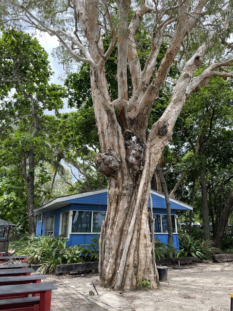 [Linked Image from i.postimg.cc]