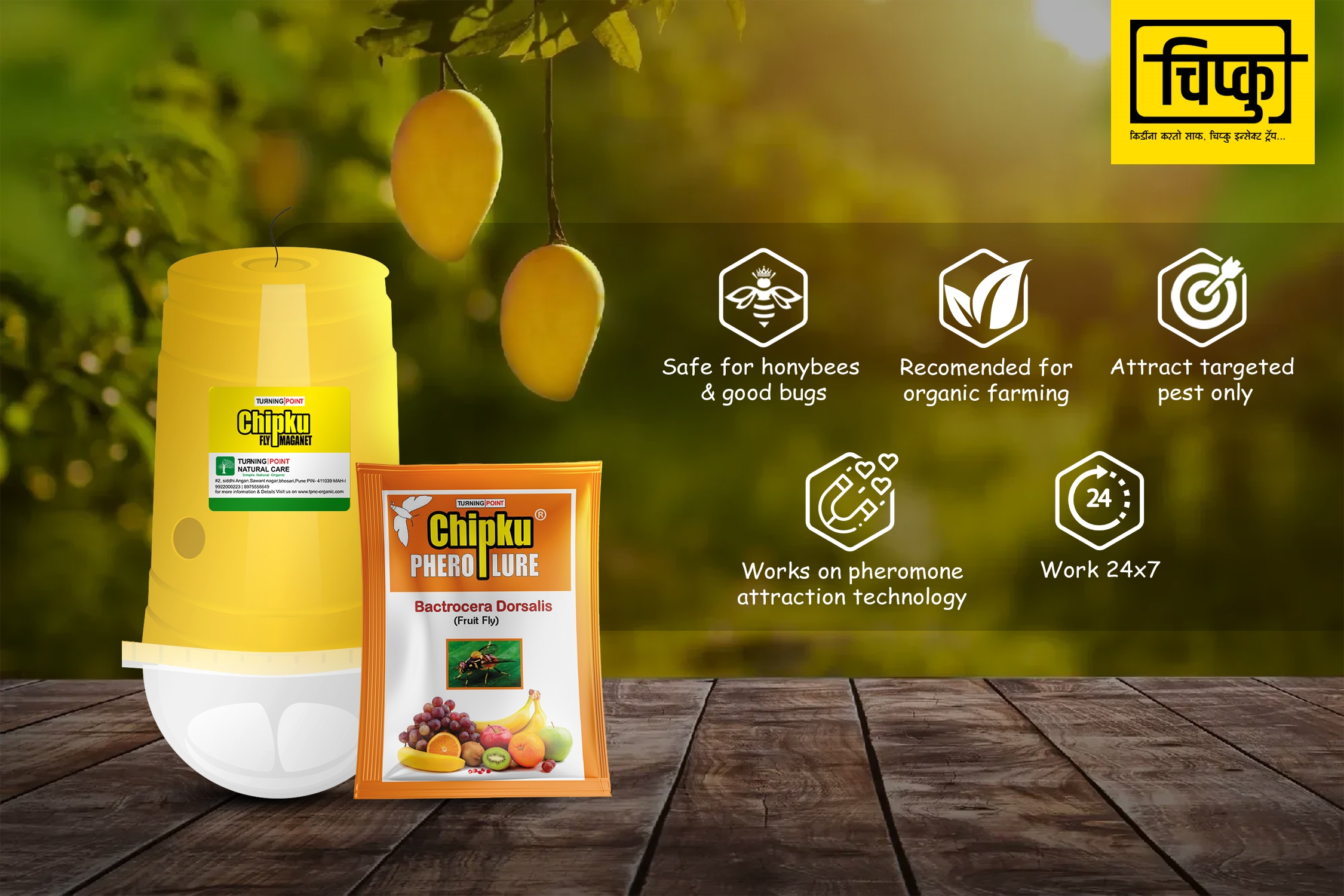 Chipku Bactocera Dorsalis Fruit Fly Outdoor Eco Pheromone Trap with