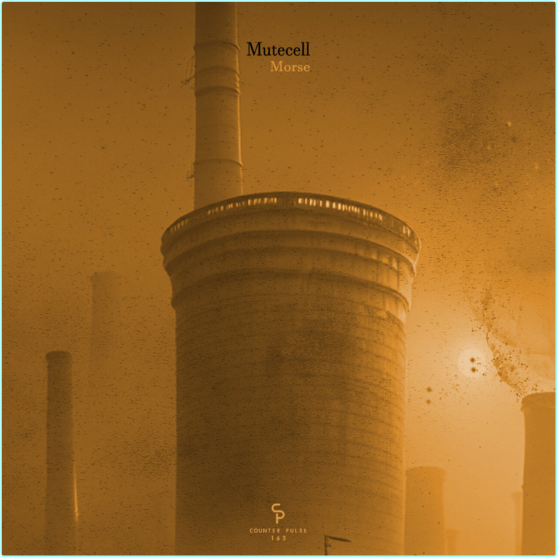 [Image: bm76lawn14gc.png]